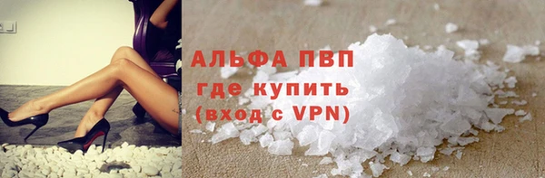 прущие грибы Абинск