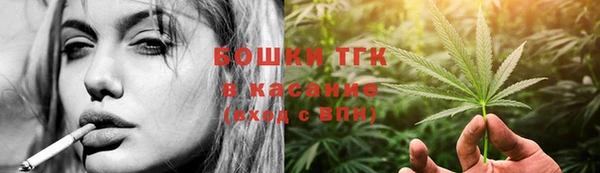 прущие грибы Абинск