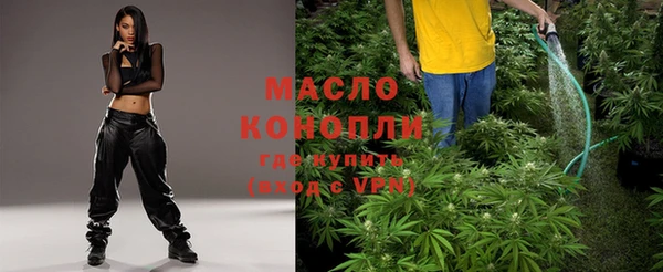 прущие грибы Абинск