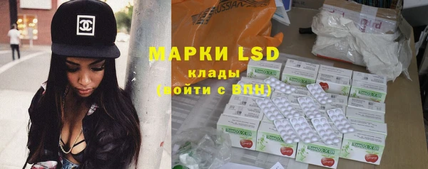 прущие грибы Абинск