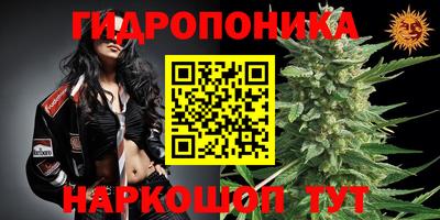 эйфоретик Краснокаменск