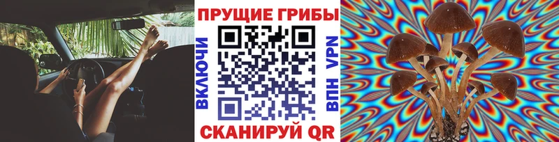 Галлюциногенные грибы GOLDEN TEACHER  Комсомольск-на-Амуре 